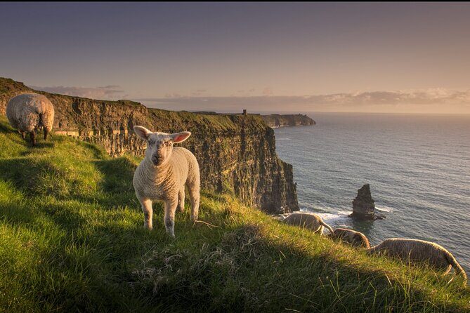 Dublin to Cliffs of Moher, Ennis Town & Bunratty Castle Day Tour - Weather, Path Closures, and Timing: What You Can Control