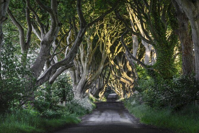 Dublin to Dunluce Castle, Giant's Causeway, Dark Hedges & Belfast - Key highlights you should care about