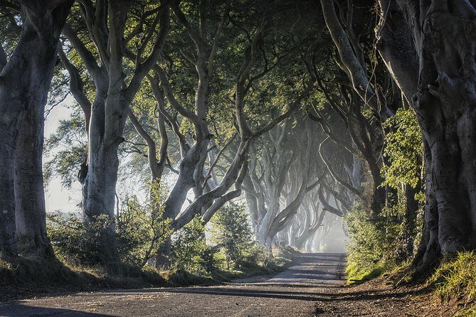 Dublin to Dunluce Castle, Giant's Causeway, Dark Hedges & Belfast - Belfast City Hall and the feel of Northern Ireland’s capital