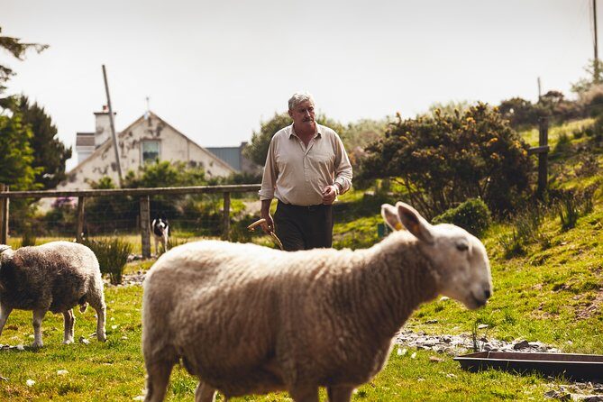 Dublin to South West 5 Day Small-Group Tour with Accommodation - Key things that make this tour work
