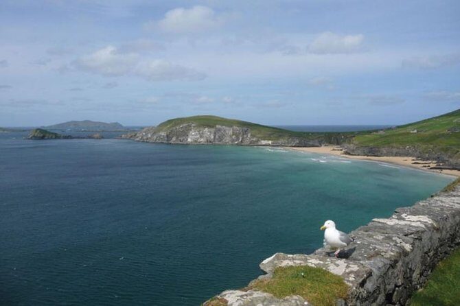 Dublin to South West 5 Day Small-Group Tour with Accommodation - Price and value: what’s included, what costs extra, and why that design helps