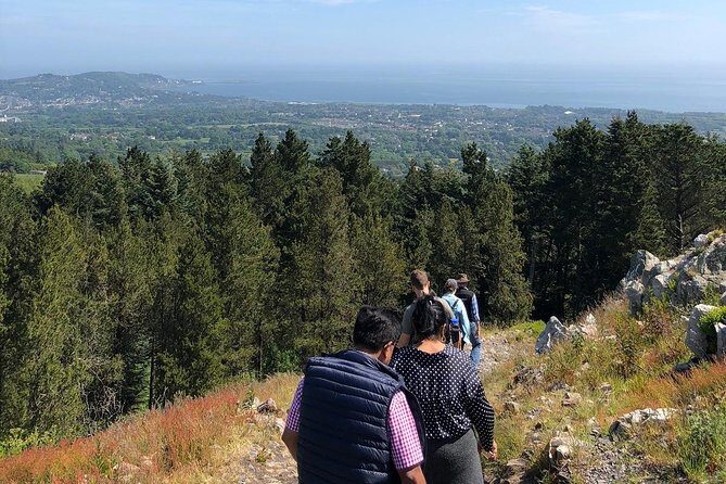 Dublin to Wicklow, Glendalough Small Group Tour with Guided Walk - Group size, guides, and how the day feels in real time