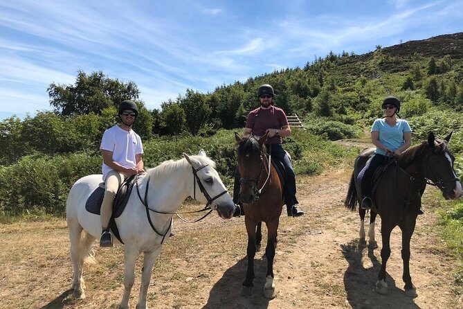 Dublin to Wicklow, Glendalough Small Group Tour with Horse Riding - Small-Group Day Trip Flow: What a Max of 8 Means