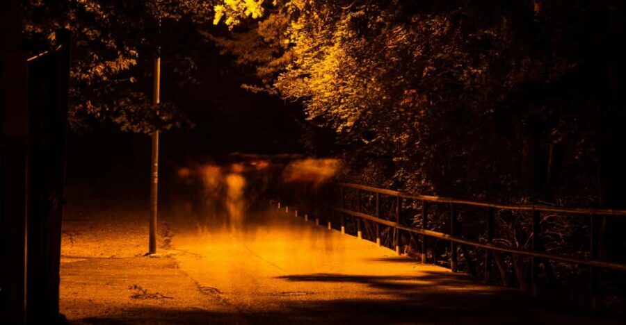 Dublin walking tour: ghosts & haunted places - Starting at Wolfe Tone and the Shelbourne Hotel legend