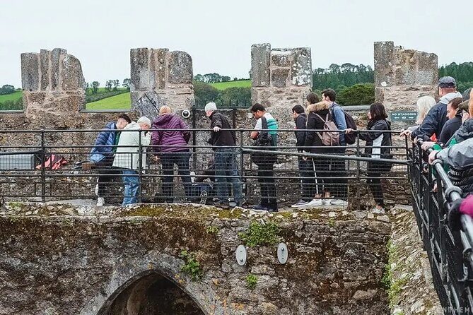 Easy Access Blarney Stone and Castle Gardens Tour - Why the prebooked Blarney Castle entry is worth your time