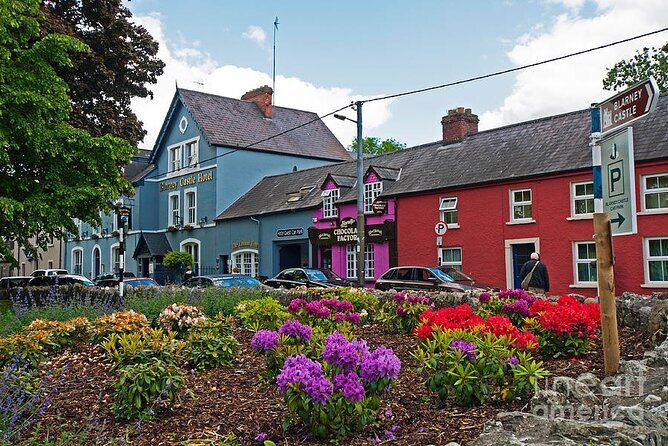 Easy Access Blarney Stone and Castle Gardens Tour - Walking realities: what easy access means in practice