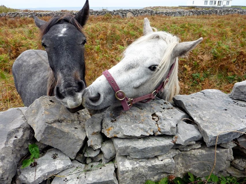 Ebiking on Inishmore island. Aran islands. Self-guided - Price and value of an $79 e-bike day on Inishmore