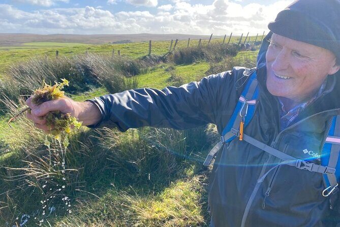 Erris Head Guided Walking Tour (AlchemyTours.ie) - What to bring for wind, mud, and maximum photos