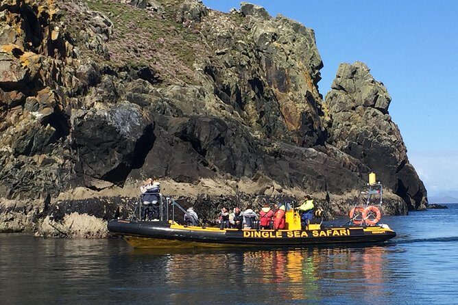 Exhilarating Rib experience - Dingle sea safari - Puffins and Sea Birds: When to Expect the Best Bird Time