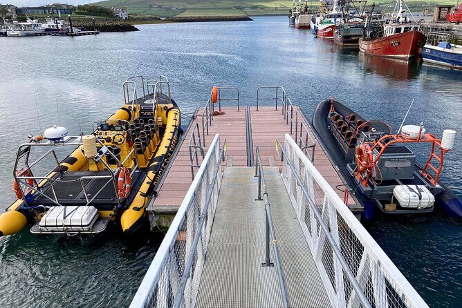 Exhilarating Rib experience - Dingle sea safari - Comfort, Seasickness, and What to Bring (So You Enjoy It)