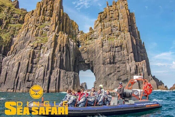 Exhilarating Rib experience - Dingle sea safari - Captain Energy: Why the Small Group Matters (and Names You’ll Hear)