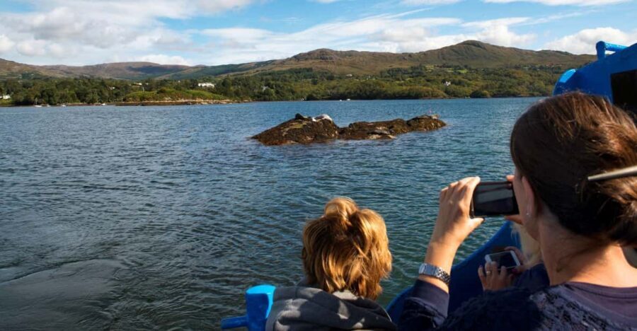 Fastnet Rock Lighthouse direct boat tour-Baltimore.Guided. - Key things that make this tour worth your time