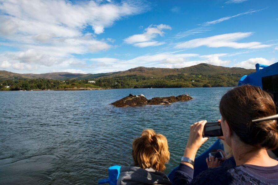 Fastnet Rock Lighthouse direct boat tour-Baltimore.Guided. - The onboard narration: turning views into context