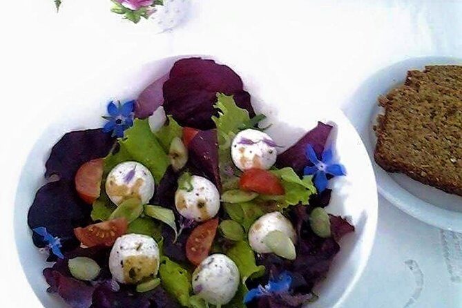 Food, heritage & cultural tour Inishmore, Aran Islands. Guided. - The goat cheese farm stop: the tastiest part of the day