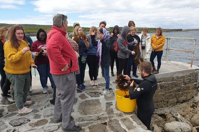 Food, heritage & cultural tour Inishmore, Aran Islands. Guided. - Price and value: what you’re paying for on this private tour