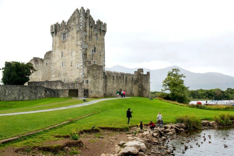 From Cork: 9-Hour Guided Ring of Kerry and Killarney Tour - Guide Quality and Day-Trip Pace: Why Stories Matter