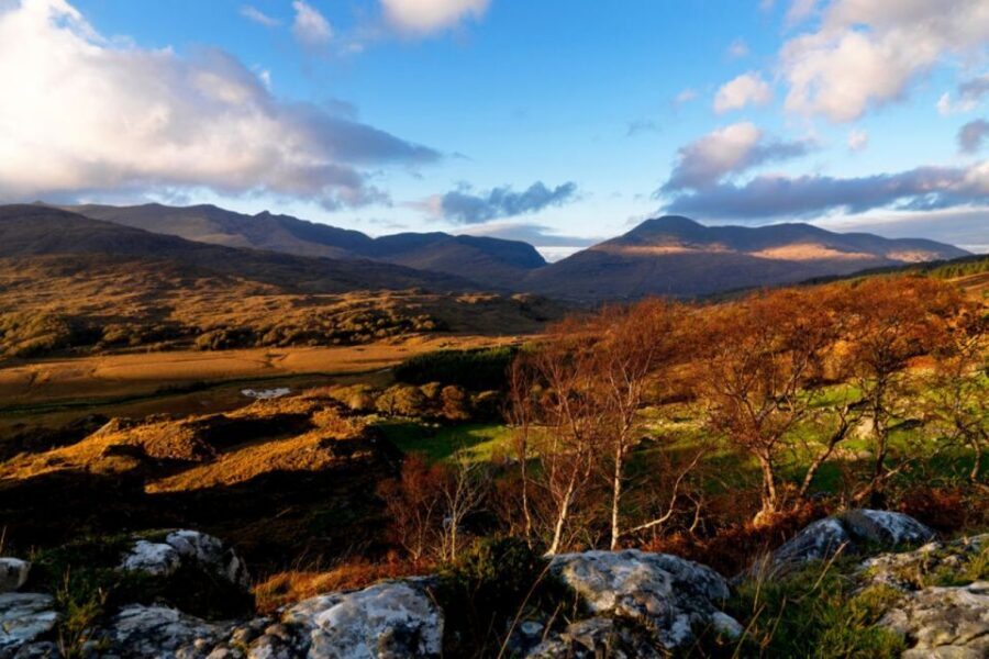 From Cork: 9-Hour Guided Ring of Kerry and Killarney Tour - Skellig Islands and the Star Wars Connection, Without the Hype