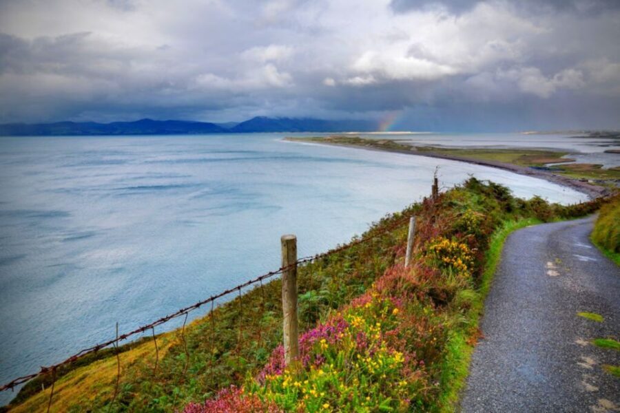 From Cork: 9-Hour Guided Ring of Kerry and Killarney Tour - Sneem Lunch Break: Pick Your Comfort Food and Keep Moving