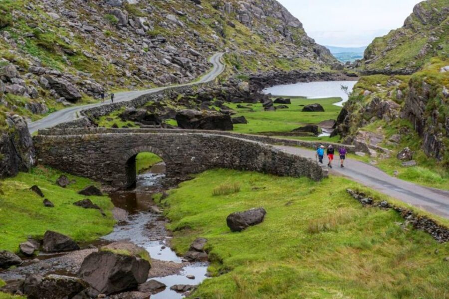 From Cork: 9-Hour Guided Ring of Kerry and Killarney Tour - Lough Leane and the Last Native Oak Trees: A Small Stop With Big Meaning