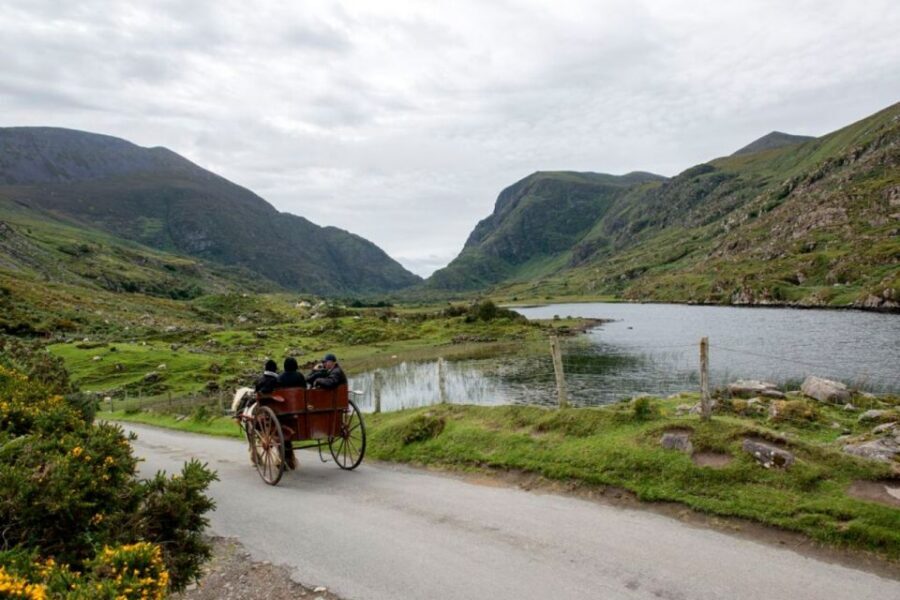 From Cork: 9-Hour Guided Ring of Kerry and Killarney Tour - Killarney Town Time: When You Get to Walk Off the Bus