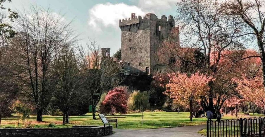 From Cork: County Cork Highlights Tour with Entrance Tickets - Why This Cork Highlights Route Works in One Day