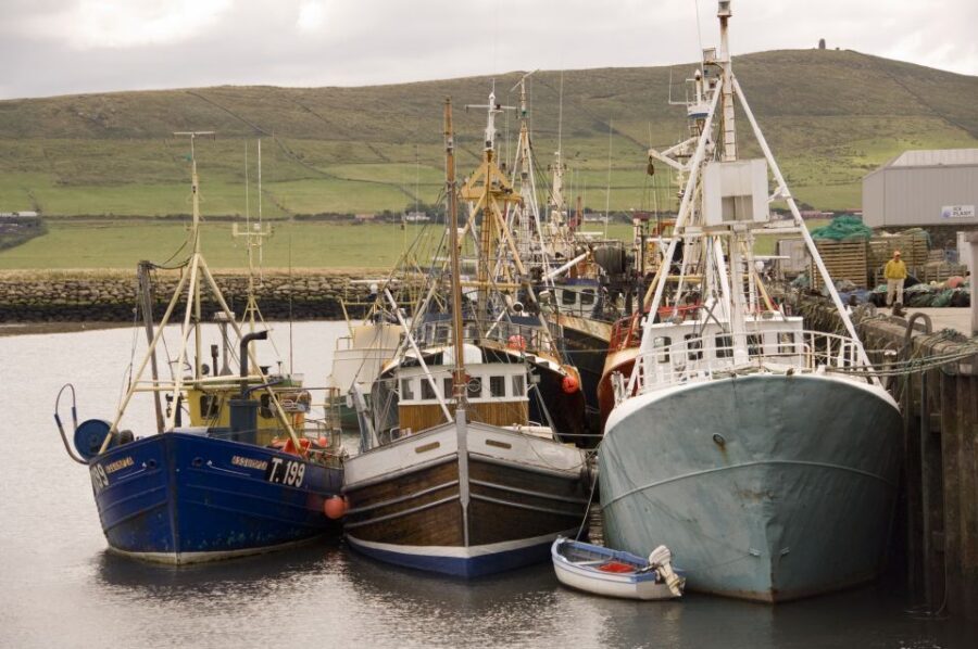 From Cork: Full-Day Guided Tour to Dingle Peninsula - Bus, Timing, and Road Nerves: What the 10 Hours Really Feels Like