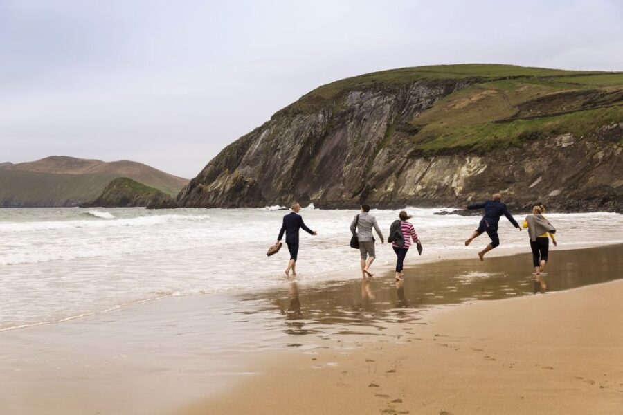 From Cork: Full-Day Guided Tour to Dingle Peninsula - Price and What You Actually Get for $67