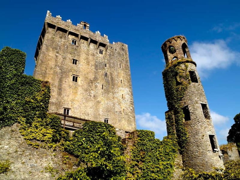 From Cork: Guided Shared Shore Excursion - Why this Cork-to-Cobh shore day feels efficient
