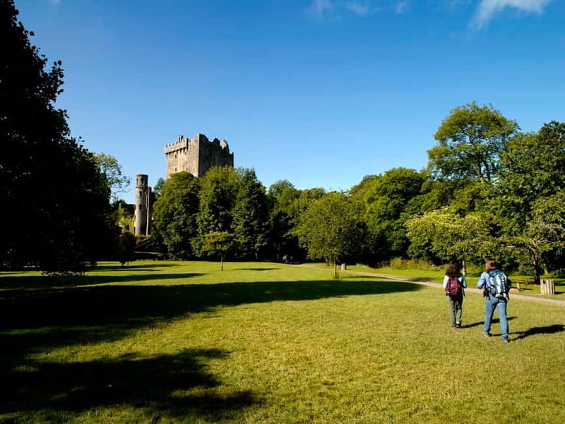 From Cork: Guided Shared Shore Excursion - Blarney Castle and Blarney Woollen Mills: the main event