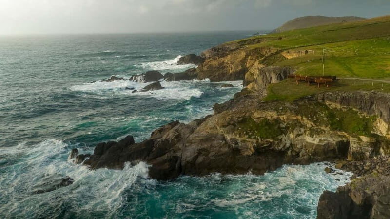 From Cork: Ring of Kerry & Killarney Guided Full Day Tour - Key things to know before you go