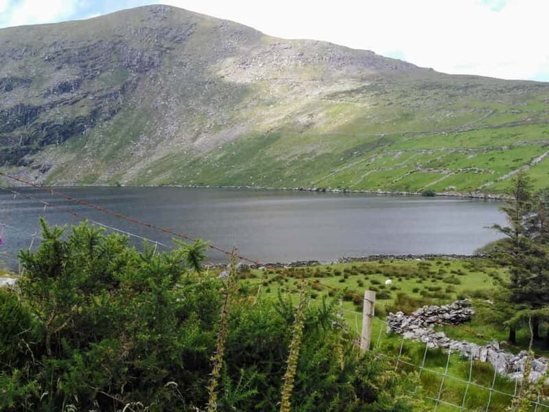 From Cork: Ring of Kerry & Killarney Guided Full Day Tour - Sneem lunch stop: break the drive with Kerry food