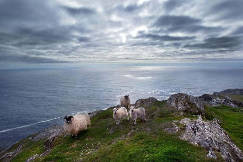 From Cork: West Cork to Mizen Head Guided Full Day Tour - Key Highlights You’ll Actually Feel During the Day