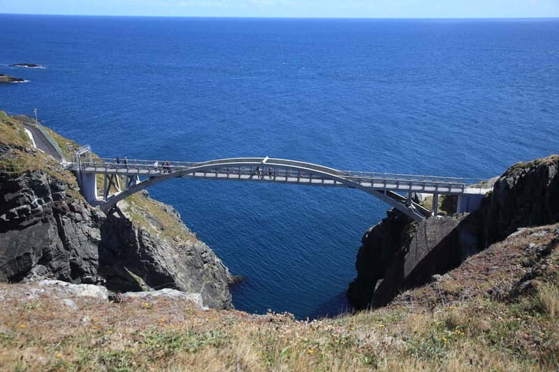 From Cork: West Cork to Mizen Head Guided Full Day Tour - Why Mizen Head Feels Like a Proper Day Trip
