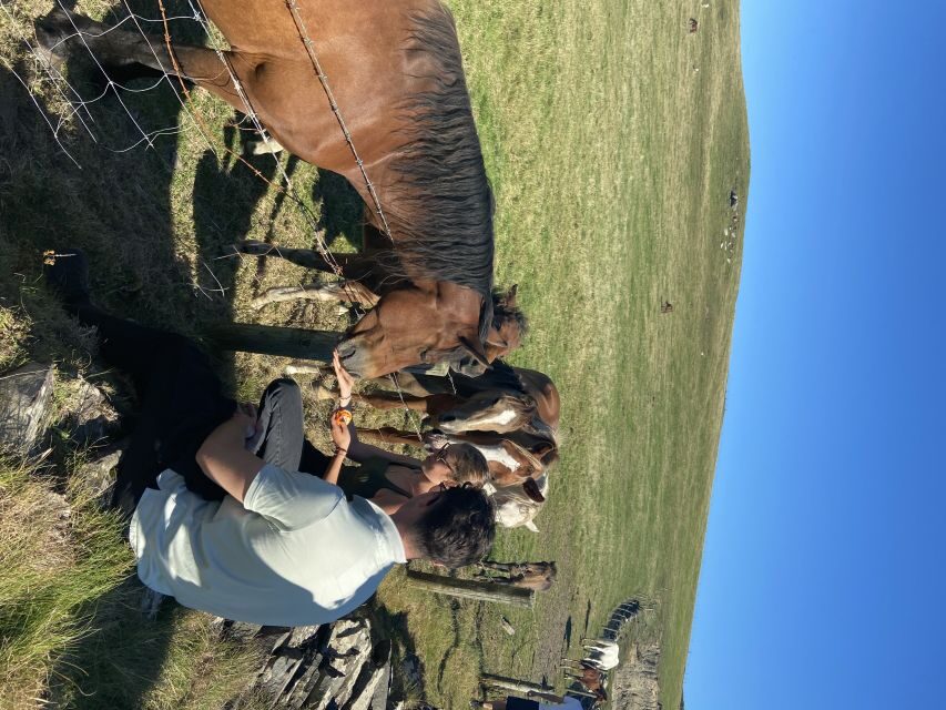 From Doolin: Cliffs of Moher Guided Coastal Walk - How the Local Guide Makes This More Than Just a View