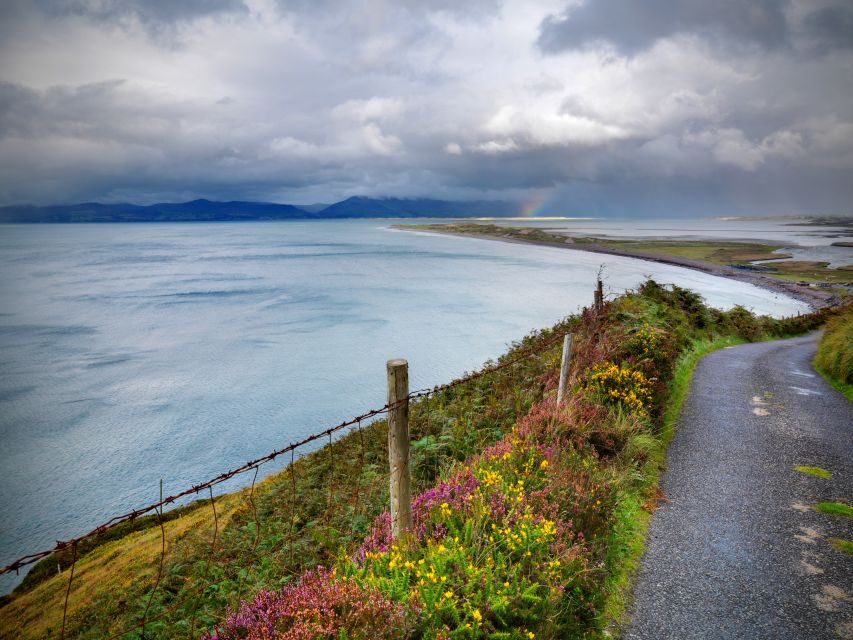 From Dublin: 3-Day Cork, Ring of Kerry, Ciffs of Moher Tour - Who This Tour Suits Best (and Who Might Feel Crammed)