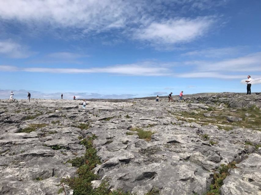 From Dublin: 4-Day Southern and Western Coast Tour - Ring of Kerry day: Dingle Bay, Lakes of Killarney, and those classic viewpoint stops