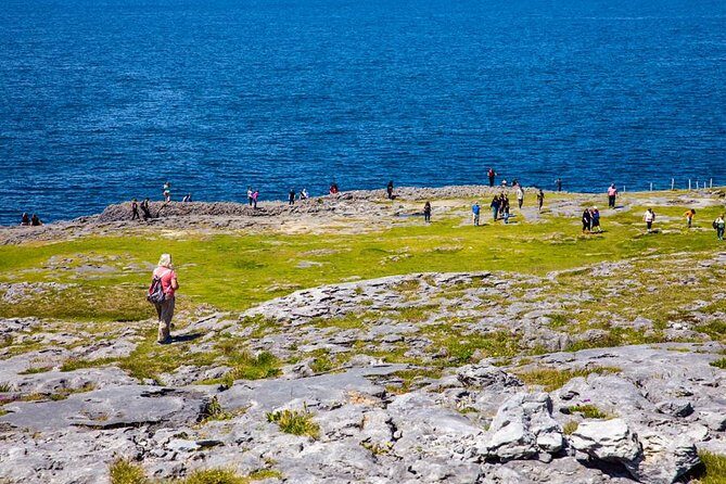 From Dublin: Cliffs of Moher, Bird of Prey & Aillwee Cave - Cliffs of Moher visitor centre and clifftop walking time