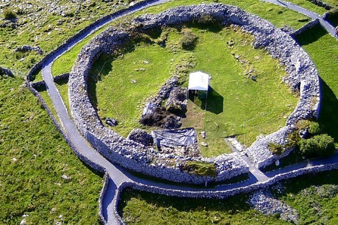 From Dublin: Cliffs of Moher, Bird of Prey & Aillwee Cave - What the long coach day feels like (pace, group size, timing)
