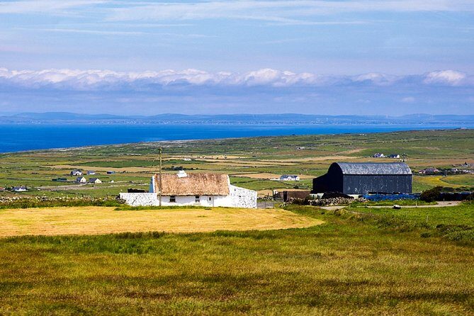 From Dublin: Cliffs of Moher, Bird of Prey & Aillwee Cave - Value at $126.15: what you’re really paying for