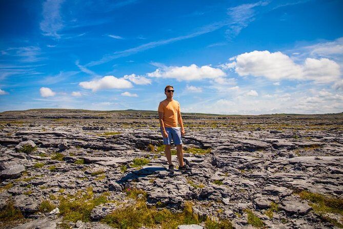 From Dublin: Cliffs of Moher, Bird of Prey & Aillwee Cave - Who should book this tour, and who should skip it