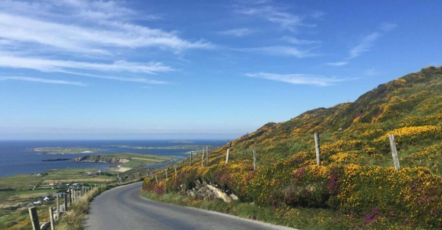 From Dublin: Connemara and Galway Bay Day Tour - Key Highlights That Matter