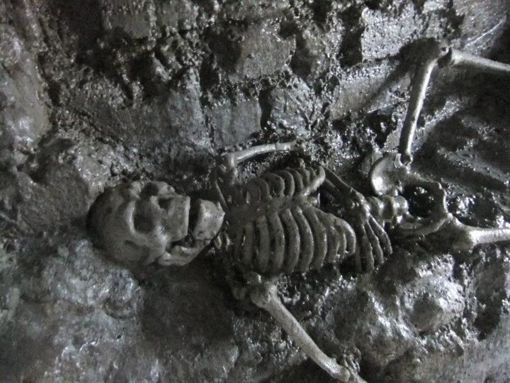 From Dublin: Gravedigger Ghost Bus Tour - Who this tour suits best (and who should skip it)