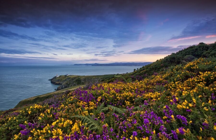 From Dublin: Half-Day Guided Coastal Tour to Howth Village - Dublin to Howth in about a bus ride’s worth of time