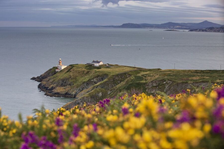 From Dublin: Half-Day Guided Coastal Tour to Howth Village - Howth Village for 75 minutes: seafood, Abbey ruins, and a proper wander