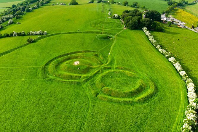 From Dublin: Private Tour to Hill of Tara, Trim Castle and more - Key highlights that make this tour worth your time