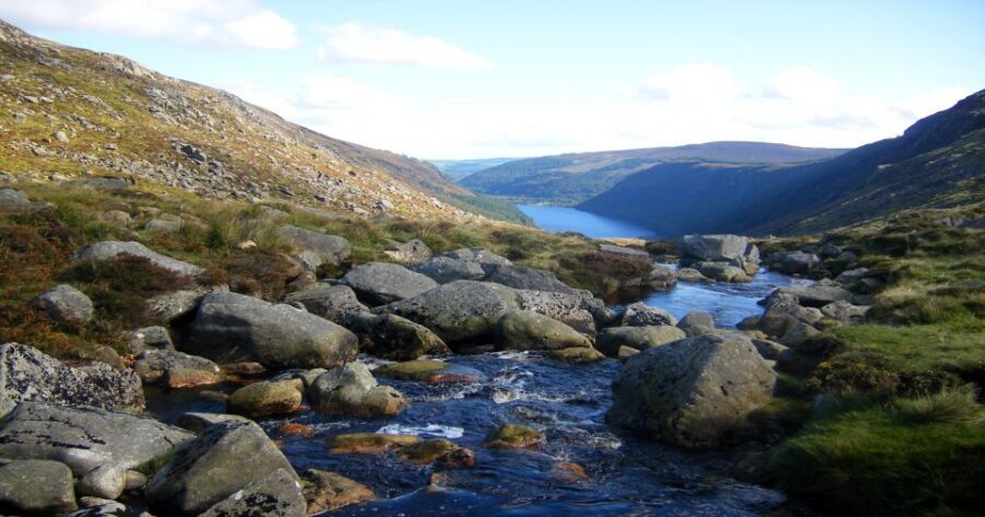 From Dublin: Wicklow Mountains, Glendalough & Kilkenny Tour - Wicklow Mountains and Wicklow Gap: Movie Country Views and a Quick Photo Break