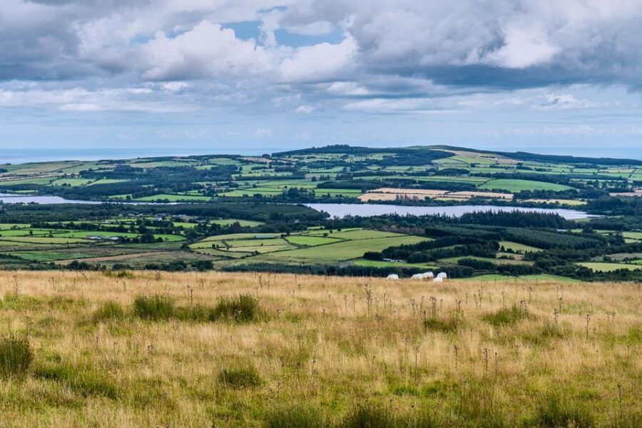 From Dublin: Wicklow Mountains, Glendalough & Kilkenny Tour - Timing and Pacing: What You Can Control (and What You Can’t)