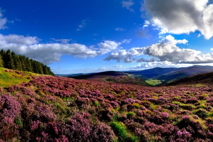 From Dublin: Wicklow Mountains, Glendalough & Kilkenny Tour - Getting on the Coach: Meet Point, Onboard Comfort, and the Rules