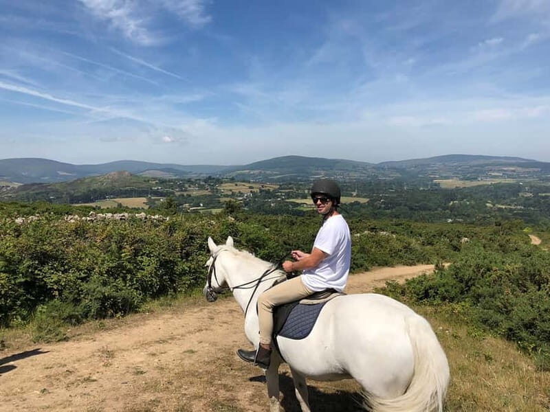 From Dublin: Wicklow, Powerscourt, and Glendalough Day Tour - A County Wicklow Day Tour That Actually Gets You Out of Dublin