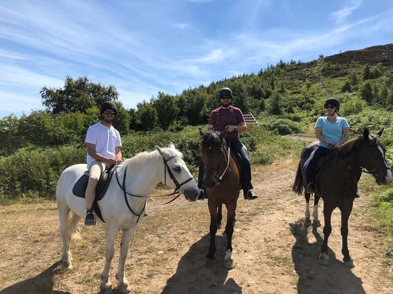 From Dublin: Wicklow, Powerscourt, and Glendalough Day Tour - Enniskerry Lunch Break: A Small Village Reset Between Peaks